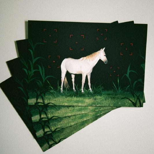 FLASH – Postcard