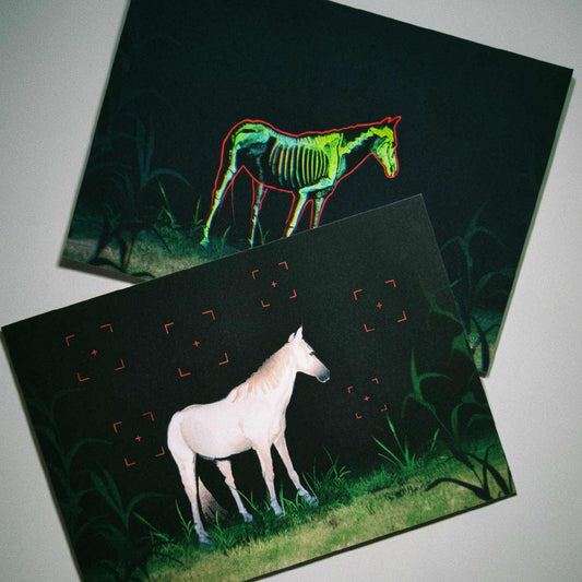 FLASH – Postcard