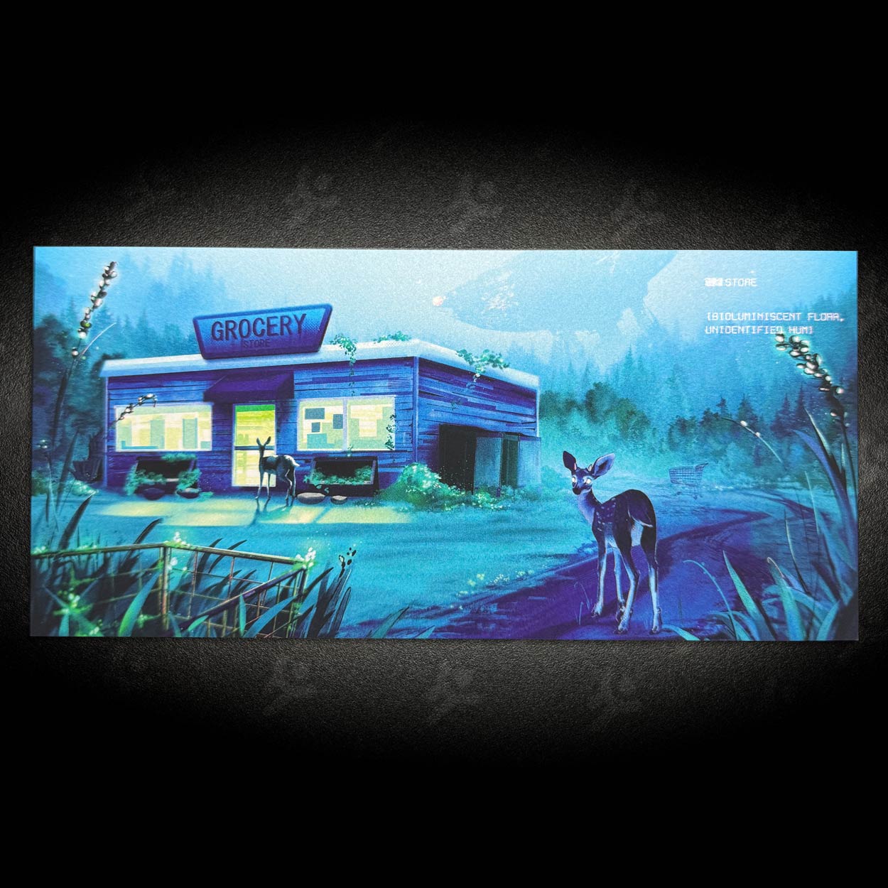 Long Postcard Collection - Originals